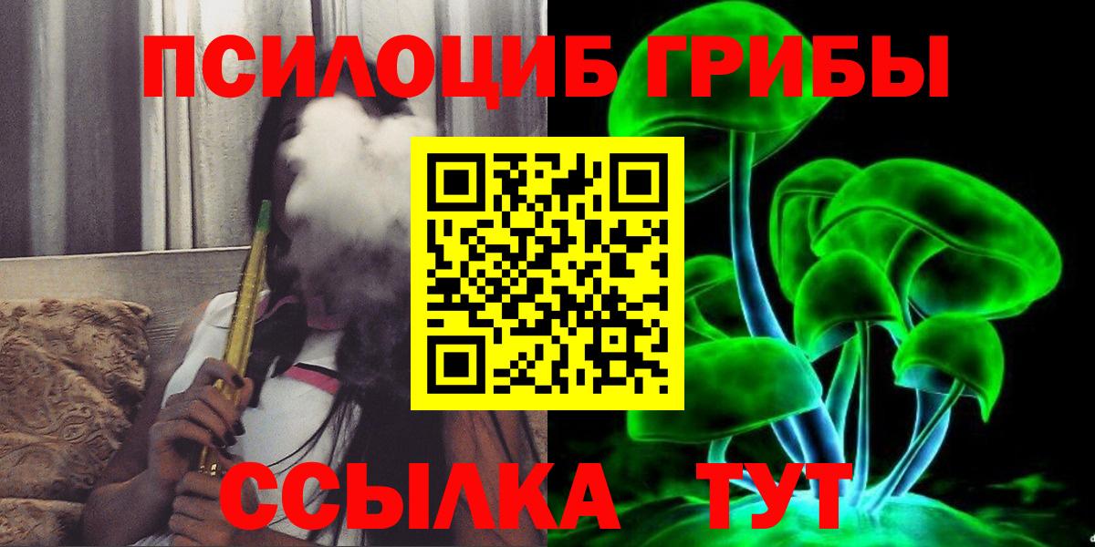Псилоцибиновые грибы Cubensis Ступино