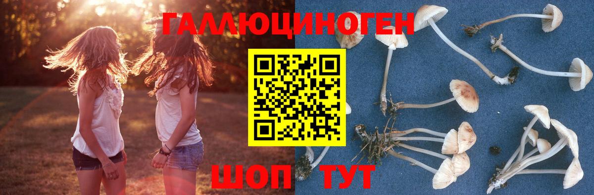 Галлюциногенные грибы Magic Shrooms  Вход с VPN  Ступино  Галлюциногенные грибы прущие грибы 